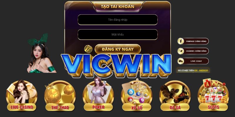 VICWIN - Những Điều Bạn Chưa Biết Về chúng tôi VICWIN